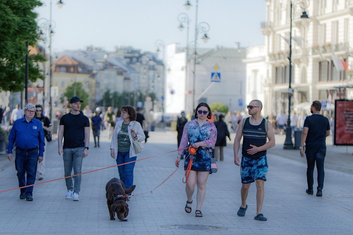 How to Actually Choose a Dog Trainer in San Mateo (and Not Lose Your Mind)